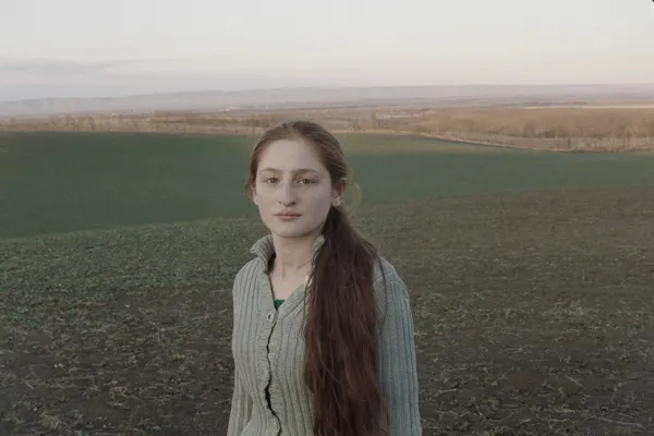 Клетка ищет птицу