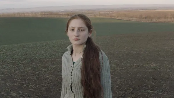 Клетка ищет птицу