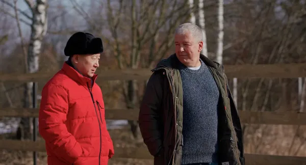 ФЕЙЕРВЕРКИ ДНЕМ