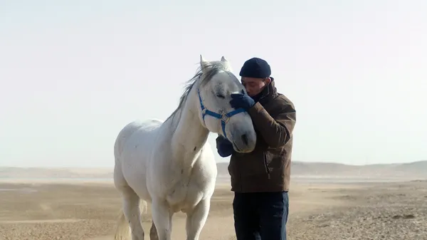 УБИТЬ МОНГОЛЬСКУЮ ЛОШАДЬ