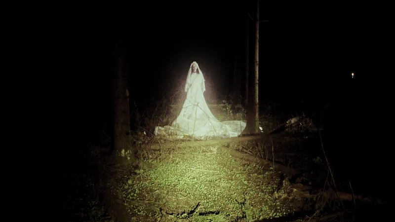 Песни лунного короля