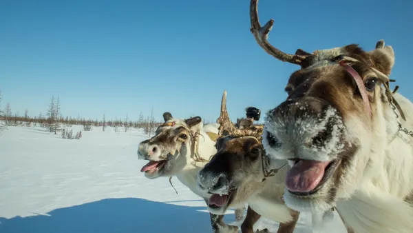 Хореку. Истории Тухардской Тундры