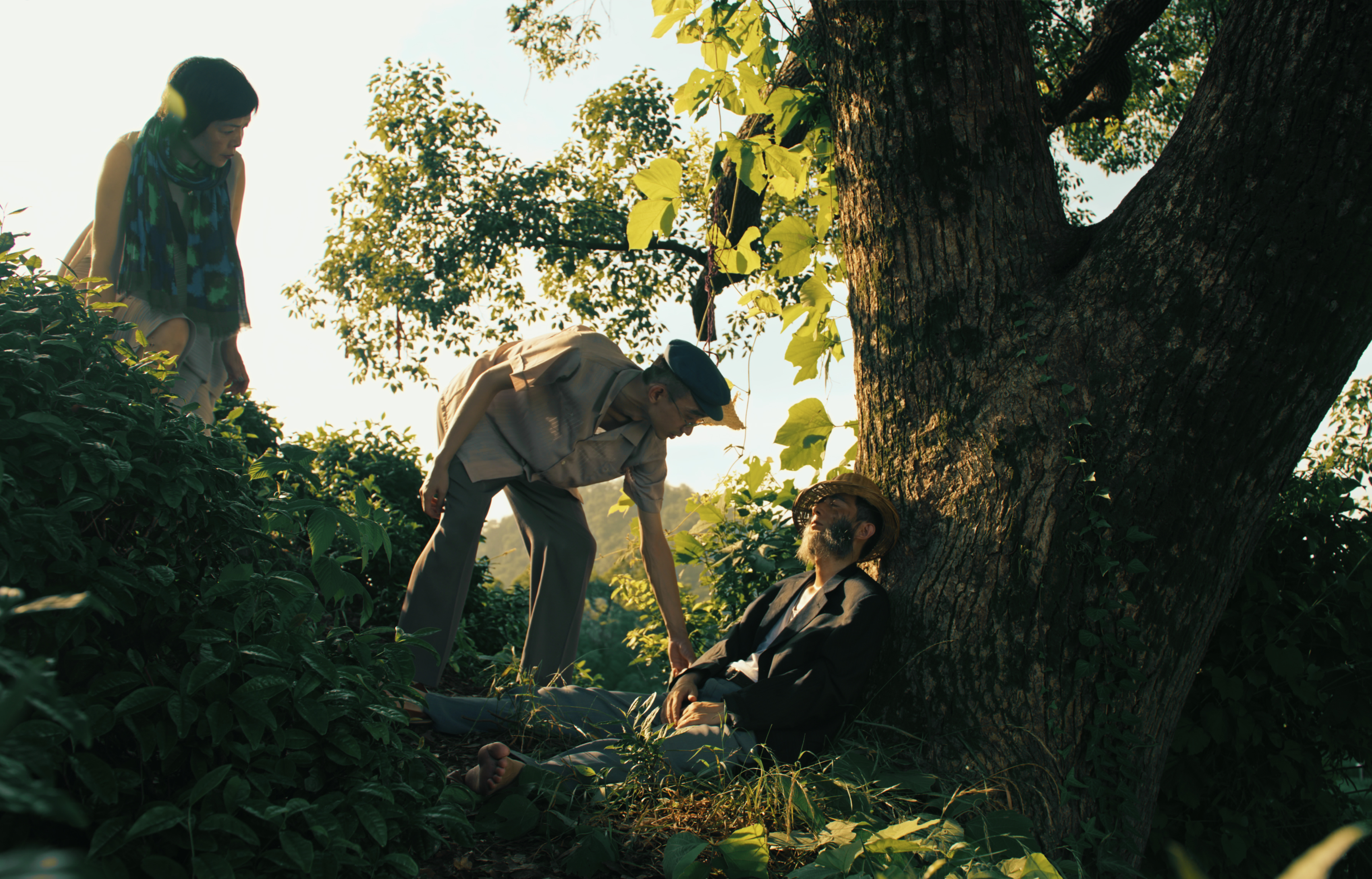 Затишье на рассвете